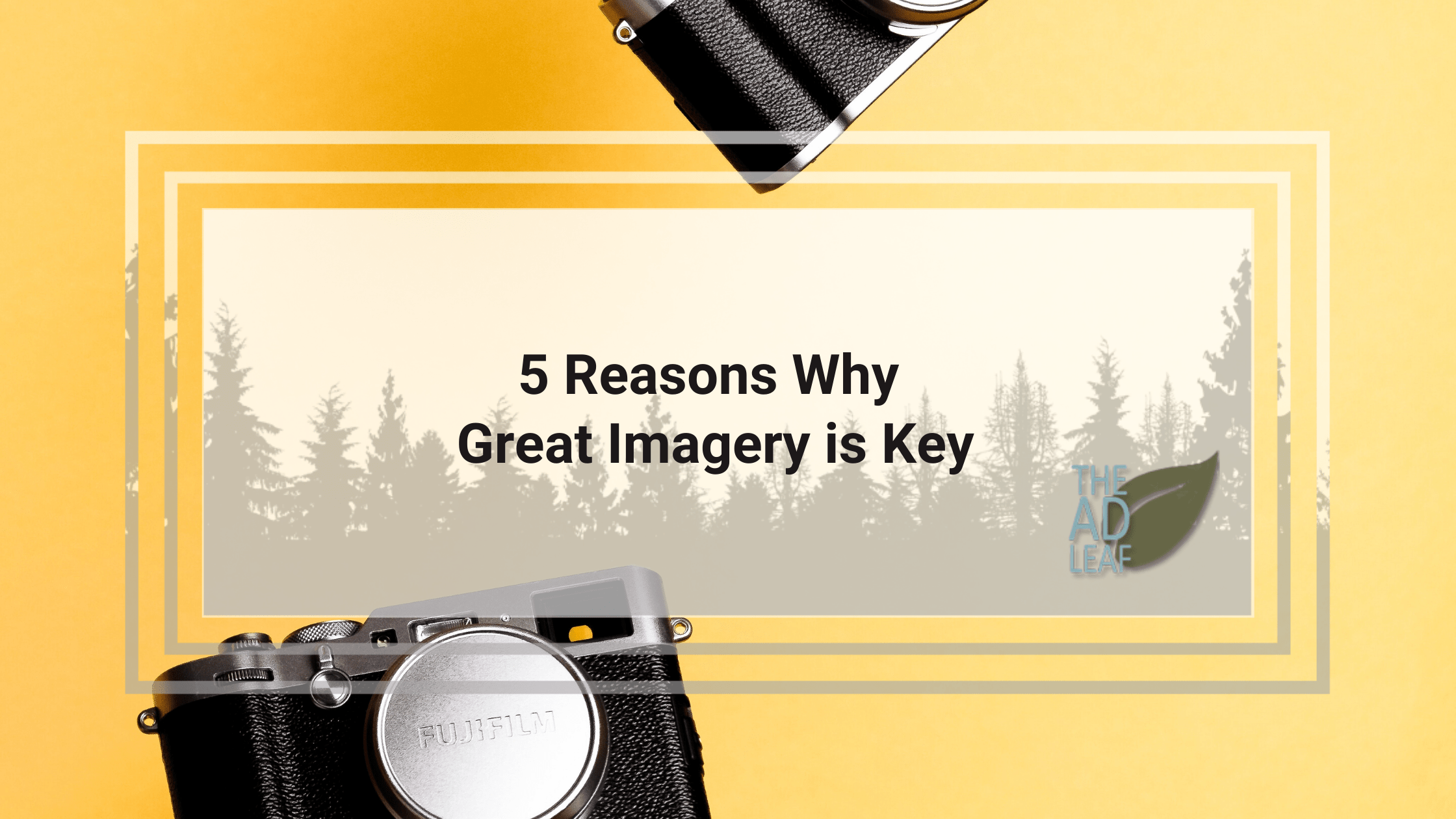 5 Reasons Why Great Imagery is Key