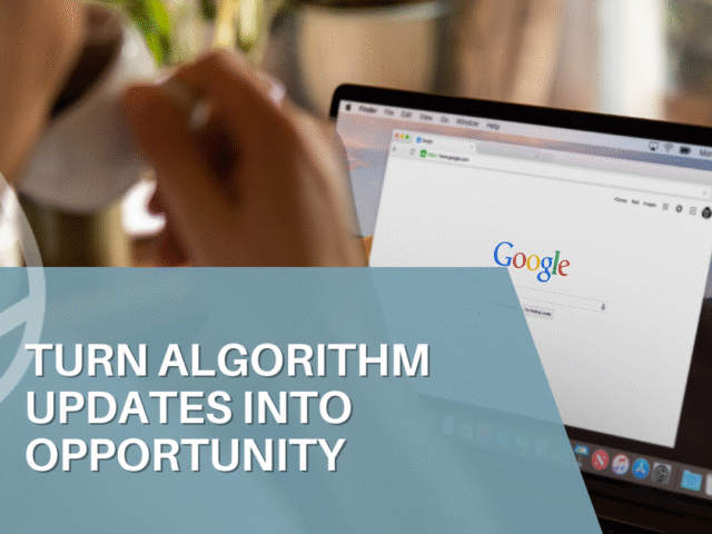 How to Survive A Google Algorithm Update